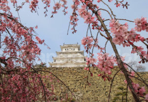 Japan: a journey through the land of legends