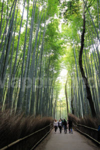 Japan: a journey through the land of legends