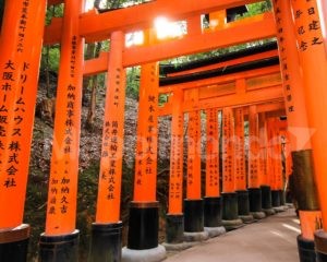 Japan: a journey through the land of legends