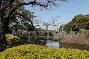 Japan: a journey through the land of legends