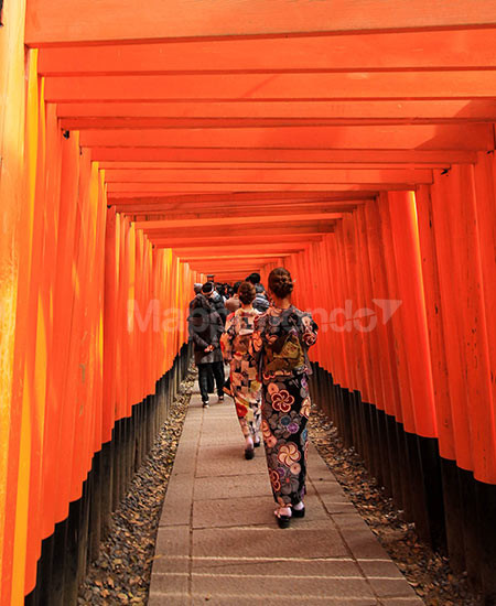 Japan: a journey through the land of legends