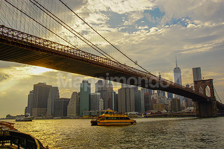 New York: where the dreams become reality