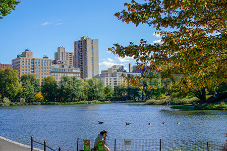 New York: where the dreams become reality