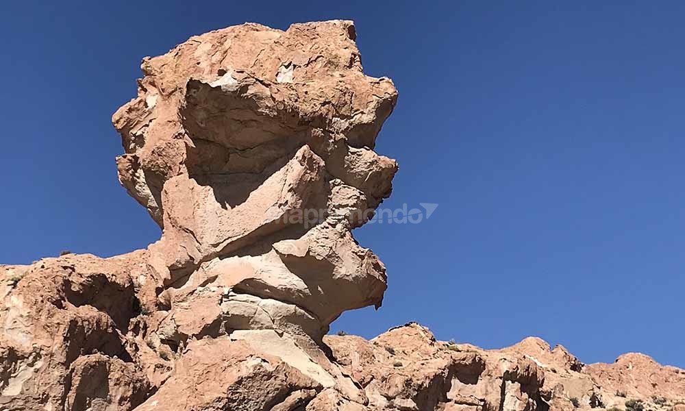 Alla scoperta della Valle De Las Rocas, delle Lagune Altiplaniche e del Canyon dell&#8217;Anaconda