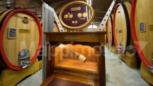 I Marchesi di Barolo ed il Re dei Vini: una lunga storia d’amore e di tradizione di un’eccellenza italiana
