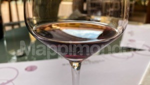 I Marchesi di Barolo ed il Re dei Vini: una lunga storia d’amore e di tradizione di un’eccellenza italiana