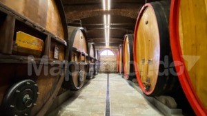 I Marchesi di Barolo ed il Re dei Vini: una lunga storia d’amore e di tradizione di un’eccellenza italiana