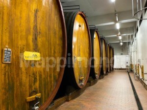 I Marchesi di Barolo ed il Re dei Vini: una lunga storia d’amore e di tradizione di un’eccellenza italiana