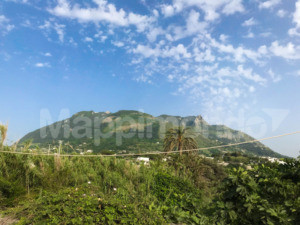 Weekend ad Ischia: dove si mangia, si beve e si fischia