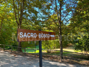 Bosco Sacro di Bomarzo: alla scoperta del più affascinante e stregato di tutti i parchi