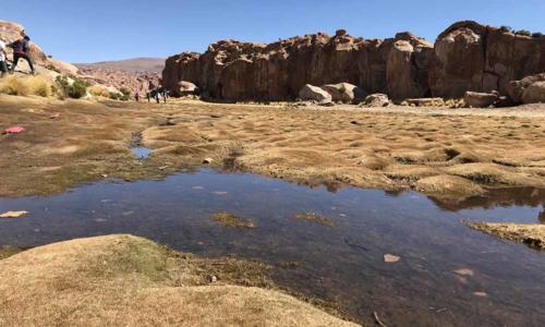 Alla scoperta della Valle De Las Rocas, delle Lagune Altiplaniche e del Canyon dell&#8217;Anaconda