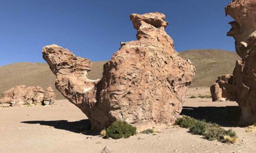 Alla scoperta della Valle De Las Rocas, delle Lagune Altiplaniche e del Canyon dell&#8217;Anaconda